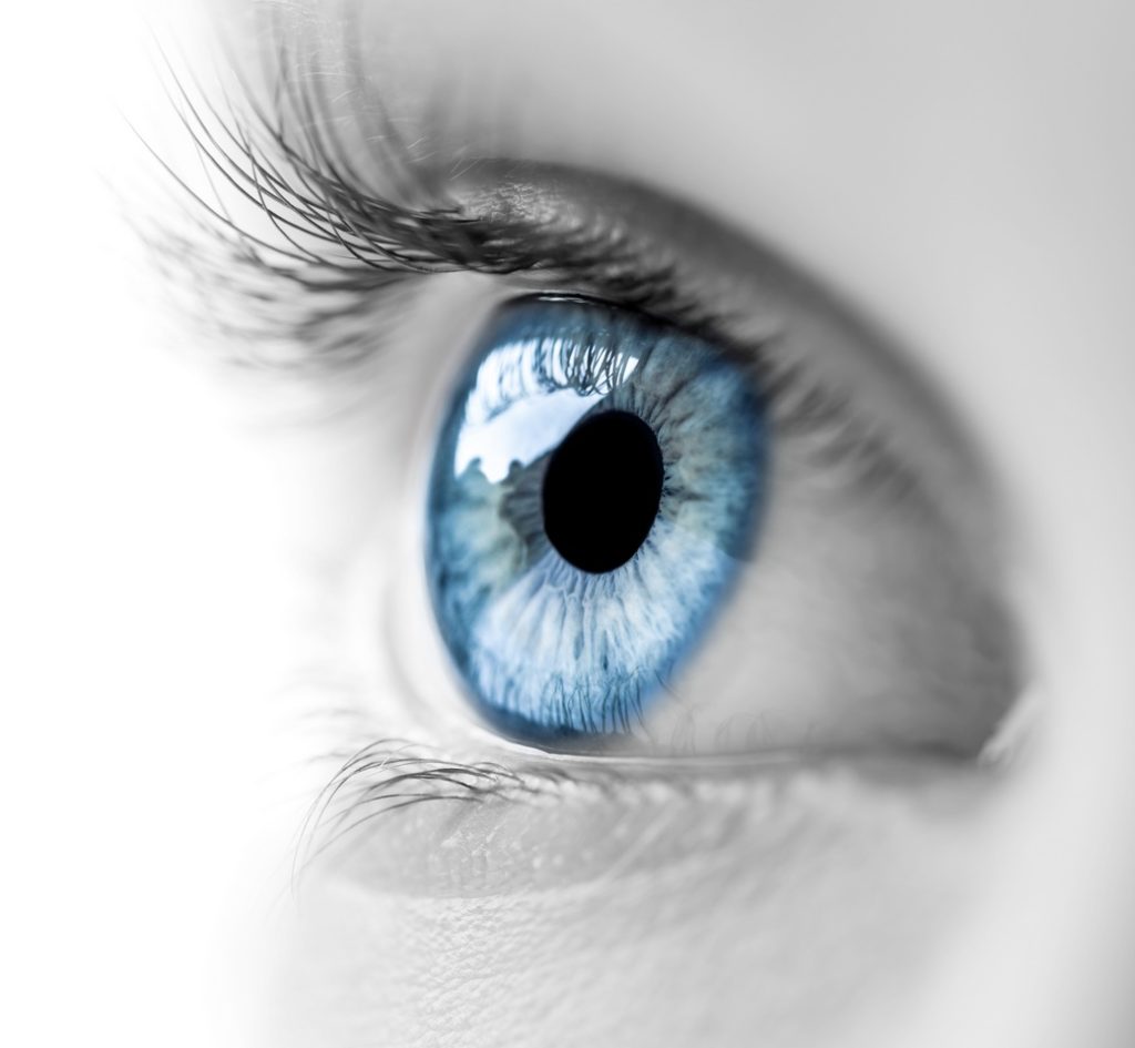 Blaue Augen â Ein gemeinsamer Ursprung 12 Blaue Augen
