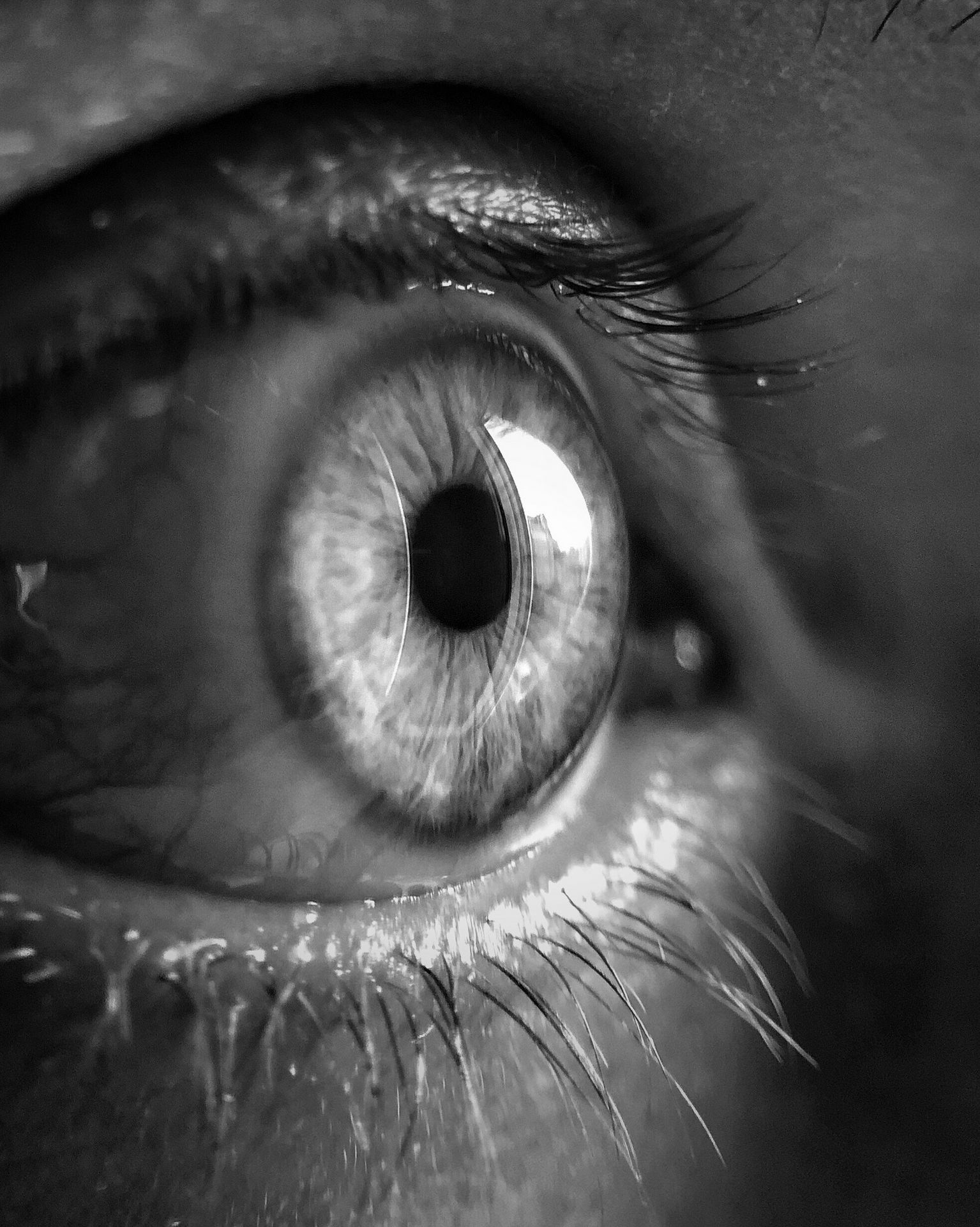 Das Auge Oculeum