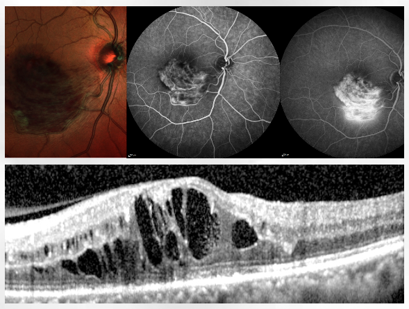 Leistungen 8 Multimodale Bildgebung fuer eine optimale Medizin