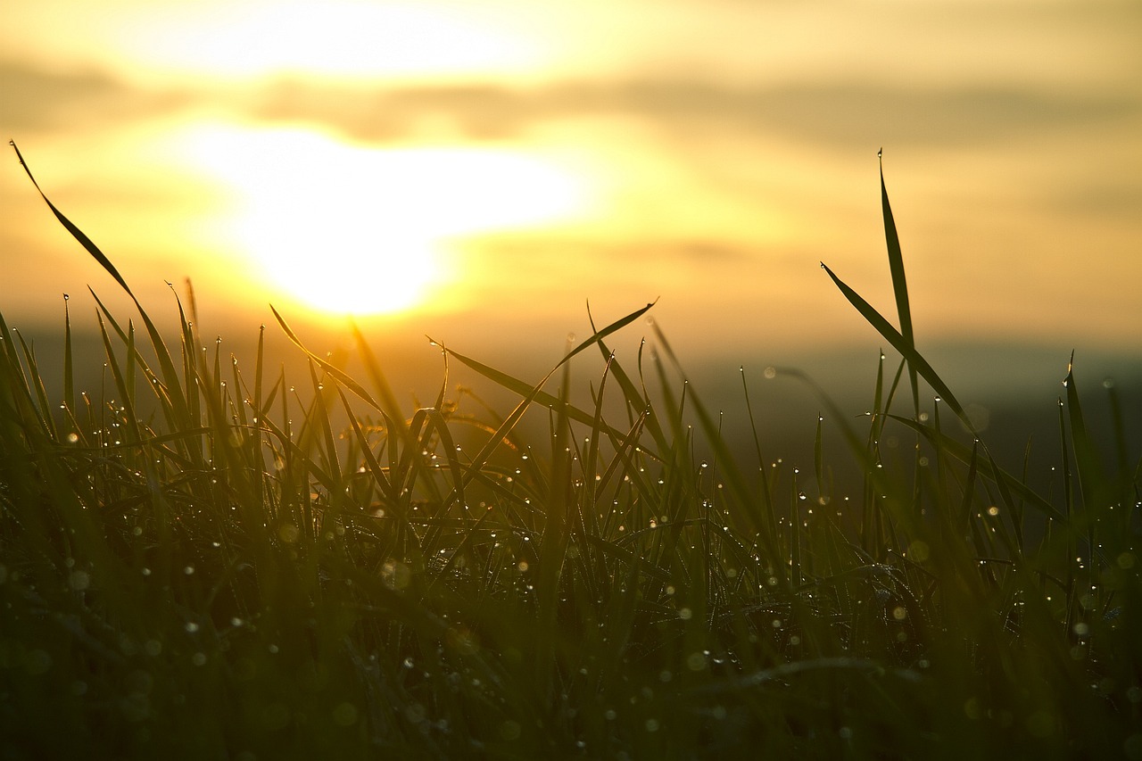 Sonnenstrahlen Auge
