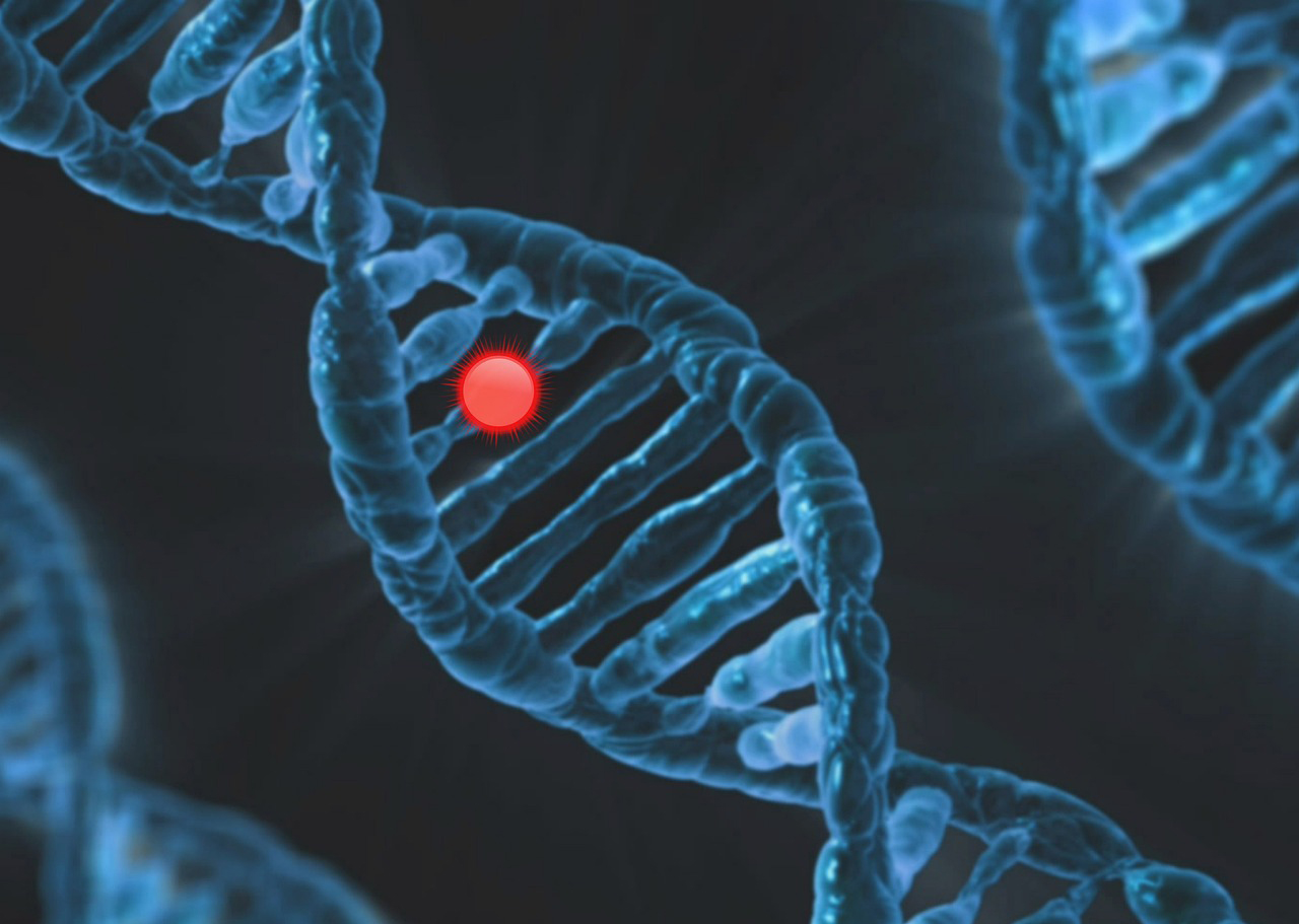 Die Geschichte der Augenheilkunde 27 DNA Ther OCULEUM
