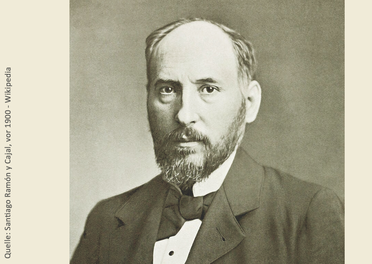 Die Geschichte der Augenheilkunde 18 Santiago Ramon y Cajal Wikipedia